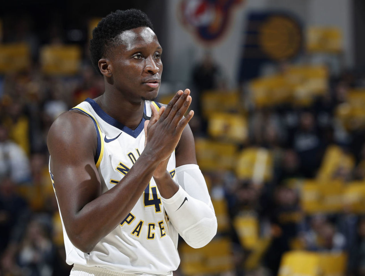 天津津门虎 天津津门虎