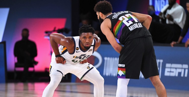 的观赏性 的观赏性