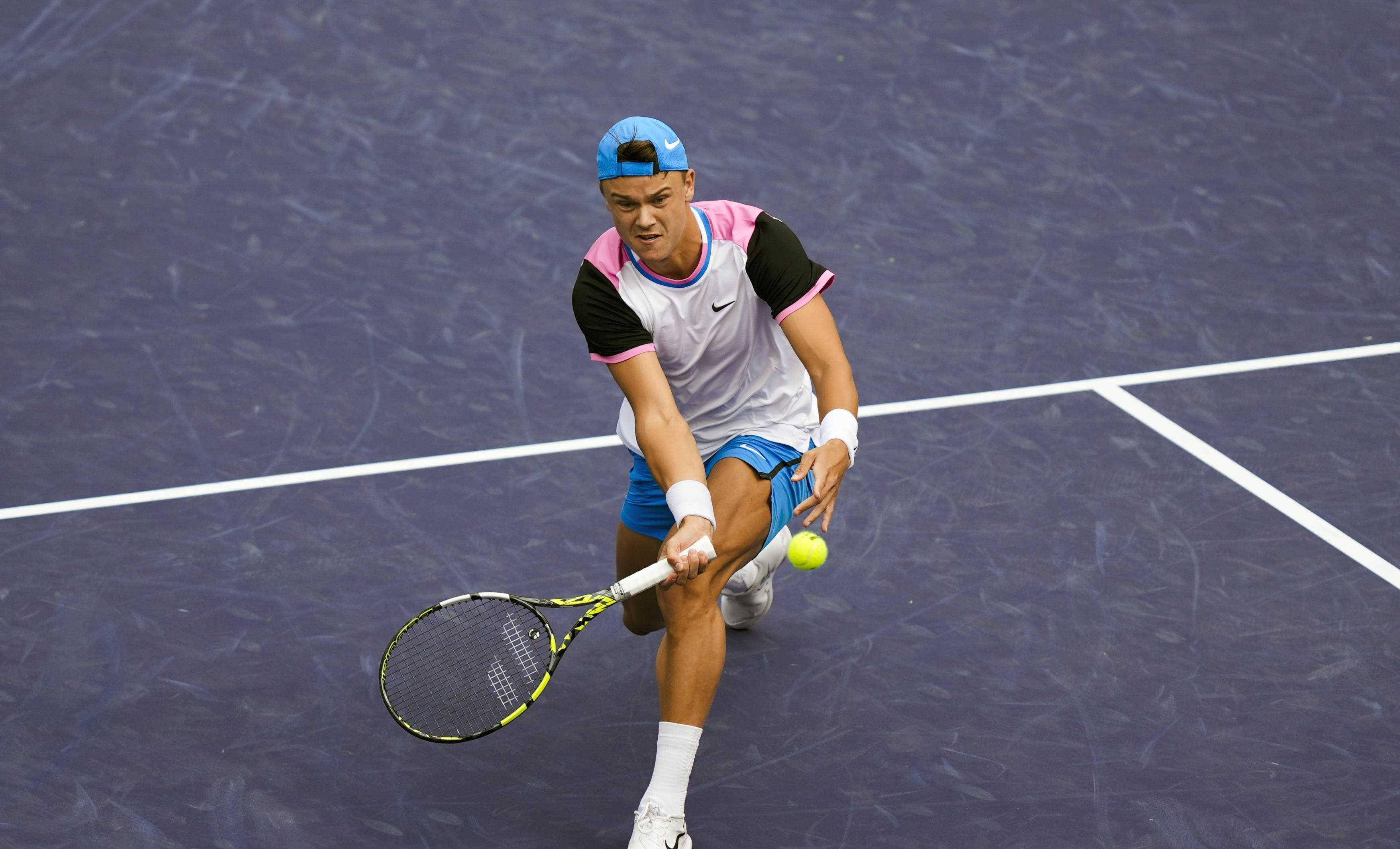 美网桂冠的 美网桂冠的