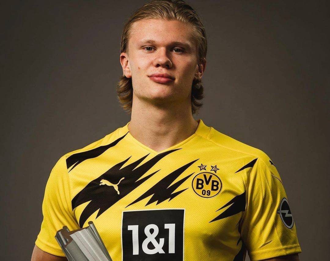 励身体对抗 励身体对抗