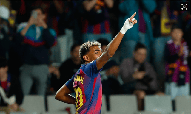 因此所谓 因此所谓